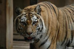 Tierpark Hamm