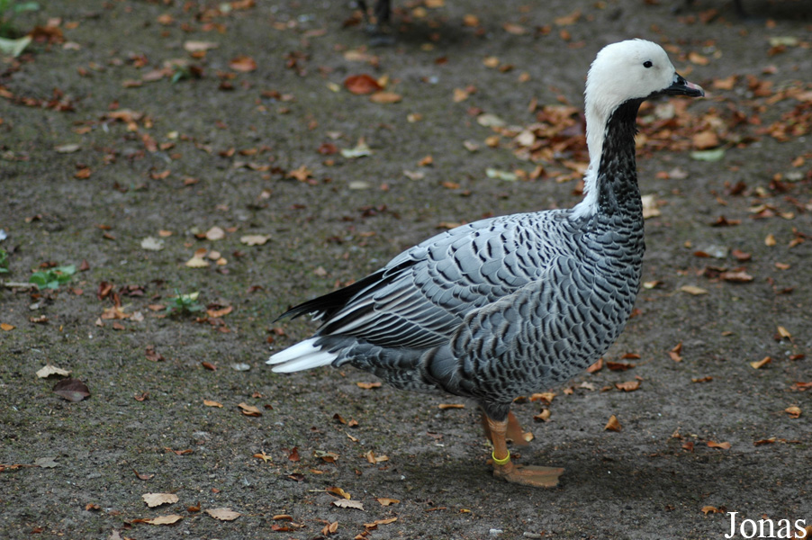 Allwetterzoo Münster