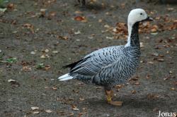 Allwetterzoo Münster