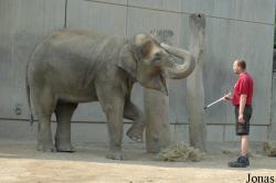 Allwetterzoo Münster