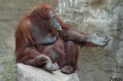 Allwetterzoo Münster