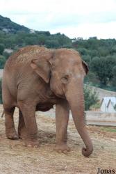 Zoosafari e Fasanolandia