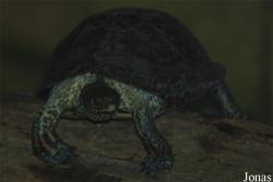 Zoo Landau in der Pfalz