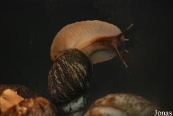 Zoo Antwerpen