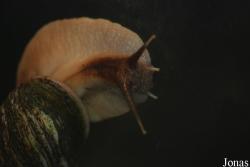 Zoo Antwerpen