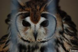 Zoo Antwerpen