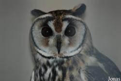 Zoo Antwerpen