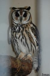 Zoo Antwerpen