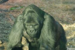 Zoo Antwerpen