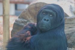 Zoo Antwerpen