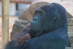 Zoo Antwerpen