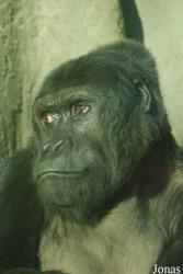 Zoo Antwerpen