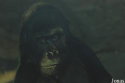 Zoo Antwerpen