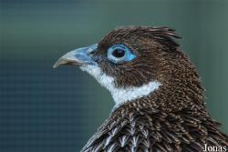 Zoo Antwerpen