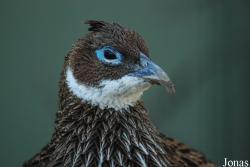 Zoo Antwerpen