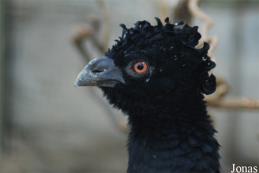 Zoo Antwerpen