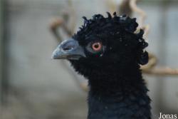 Zoo Antwerpen