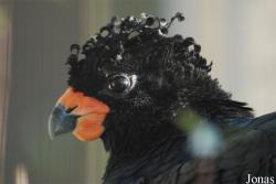 Zoo Antwerpen