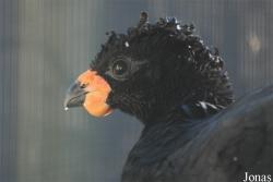 Zoo Antwerpen