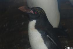 Zoo Antwerpen