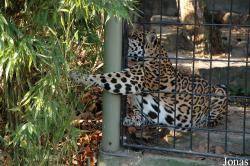 Zoo Antwerpen