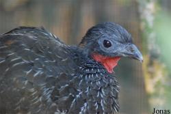 Zoo Antwerpen