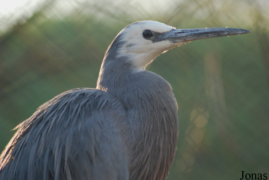 Dierenpark Planckendael