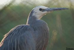 Dierenpark Planckendael