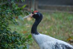 Guangzhou Zoo