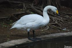 Guangzhou Zoo