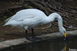 Guangzhou Zoo
