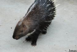 Guangzhou Zoo