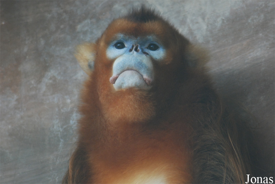 Xiangjiang Safari Park Guangzhou