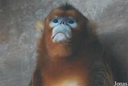 Xiangjiang Safari Park Guangzhou