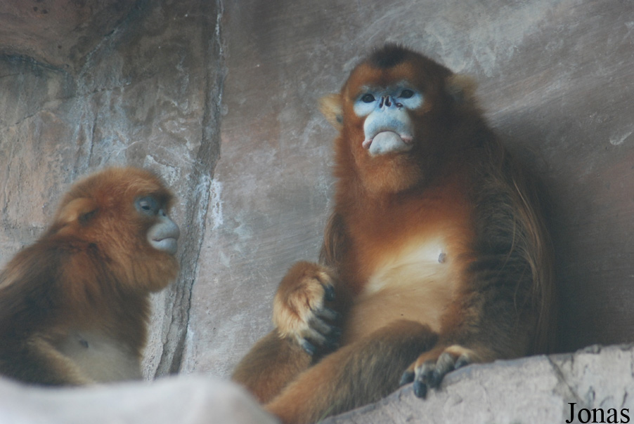 Xiangjiang Safari Park Guangzhou