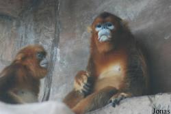 Xiangjiang Safari Park Guangzhou