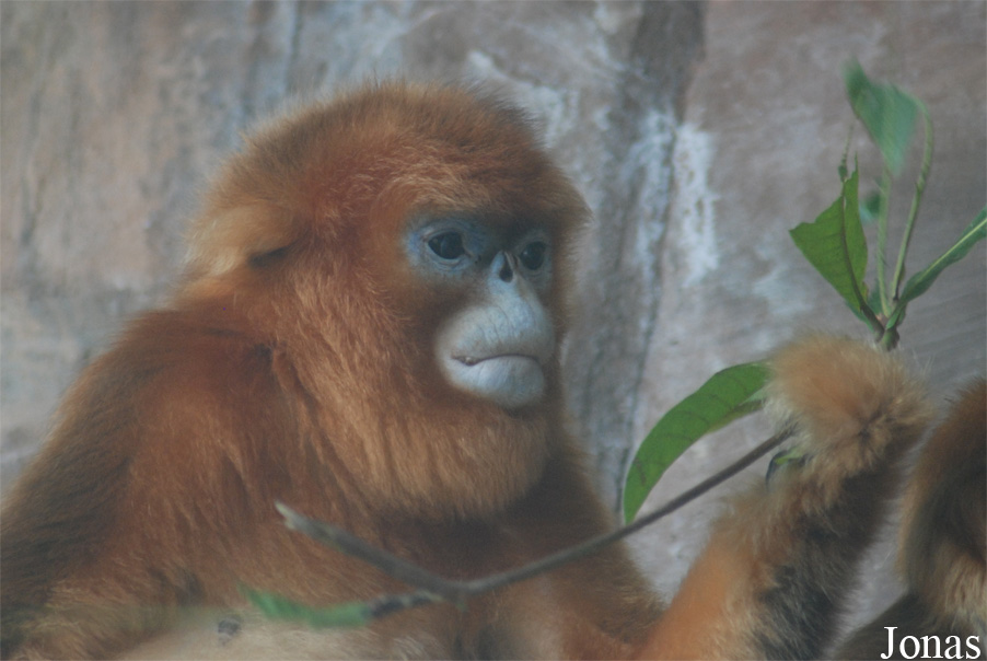 Xiangjiang Safari Park Guangzhou