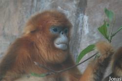 Xiangjiang Safari Park Guangzhou