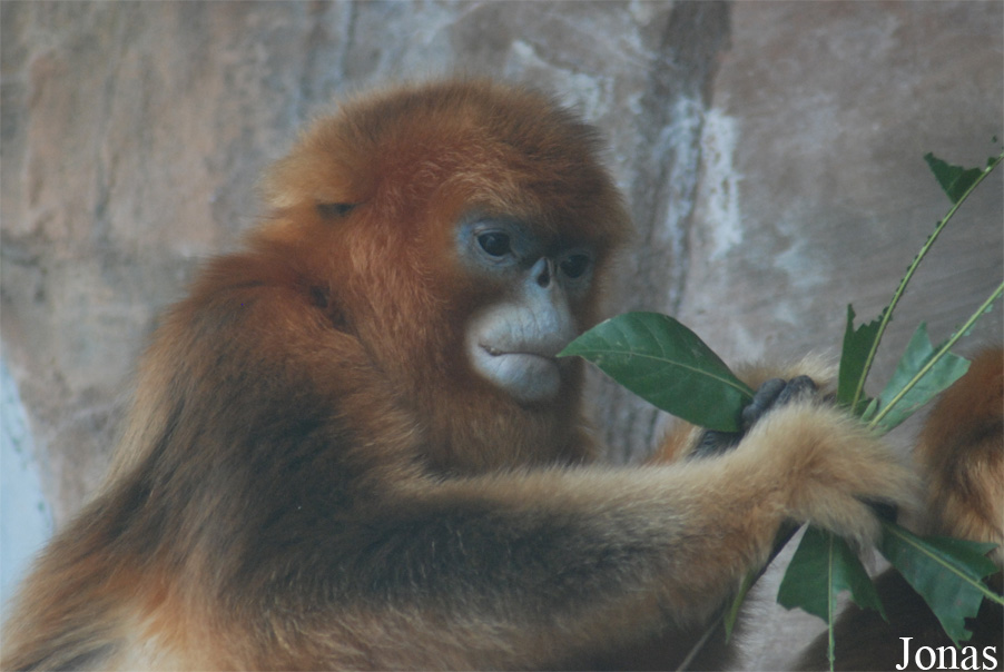 Xiangjiang Safari Park Guangzhou