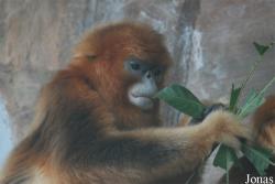 Xiangjiang Safari Park Guangzhou