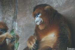 Xiangjiang Safari Park Guangzhou