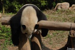 Xiangjiang Safari Park Guangzhou