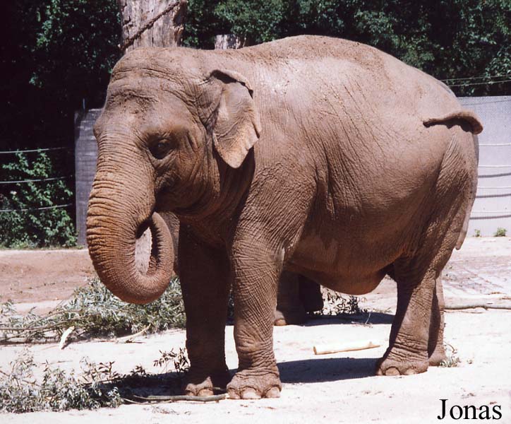 Zoologischer Garten Karlsruhe