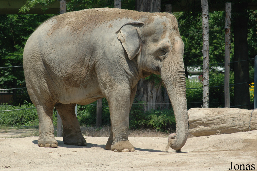 Zoologischer Garten Karlsruhe