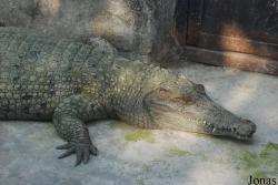 Crocopark Guangzhou