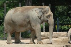 Zoologischer Garten Karlsruhe