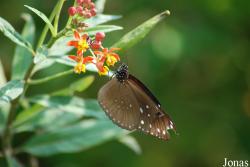 Hong Kong Wetland Park