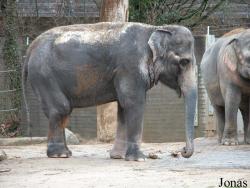 Zoologischer Garten Karlsruhe