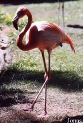 Zoologischer Garten Karlsruhe
