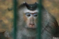Safari Park Shenzhen